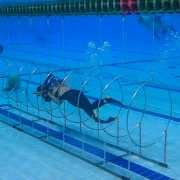Общероссийская общественная организация Федерация подводного спорта России фото 3 на сайте Hamovniki.su