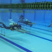 Общероссийская общественная организация Федерация подводного спорта России фото 7 на сайте Hamovniki.su