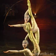 Представительство в России Цирк дю Солей фото 3 на сайте Hamovniki.su