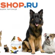Зоомагазин Petshop.ru на Комсомольском проспекте фото 5 на сайте Hamovniki.su