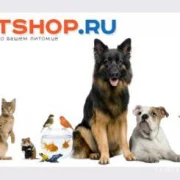 Зоомагазин Petshop.ru на Комсомольском проспекте фото 1 на сайте Hamovniki.su