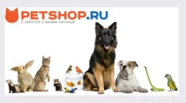 Зоомагазин Petshop.ru на Комсомольском проспекте фото 1 на сайте Hamovniki.su