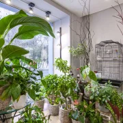 Салон цветов Flowers 33 фото 2 на сайте Hamovniki.su