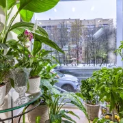 Салон цветов Flowers 33 фото 20 на сайте Hamovniki.su