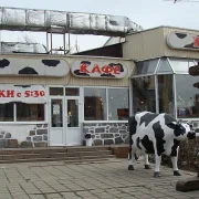 Кафе Му-му на Комсомольском проспекте фото 1 на сайте Hamovniki.su