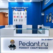Сервисный центр Pedant на улице 10-летия Октября фото 1 на сайте Hamovniki.su