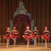 Школа-студия балета Иданко на улице Ефремова фото 6 на сайте Hamovniki.su