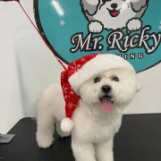 Зоопарикмахерская Mr Ricky фото 16 на сайте Hamovniki.su