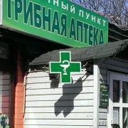 Грибная аптека на улице Плющиха фото 7 на сайте Hamovniki.su