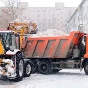 Компания по вывозу мусора Эколайн фото 1 на сайте Hamovniki.su