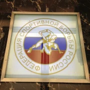 Федерация спортивной борьбы России стриминговый сервис Федерации спортивной борьбы России фото 3 на сайте Hamovniki.su