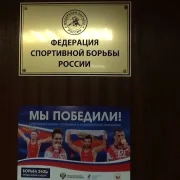 Федерация спортивной борьбы России стриминговый сервис Федерации спортивной борьбы России фото 4 на сайте Hamovniki.su